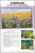 Panneau de l'exposition Agroecologie