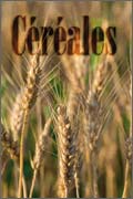 Cereales
