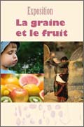 La graine et le fruit