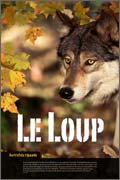 Le loup