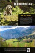 Panneau de l'exposition Le loup