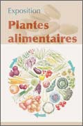 Plantes alimentaires