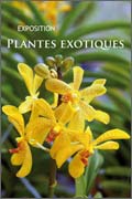 Plantes exotiques